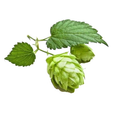 phix hops 2